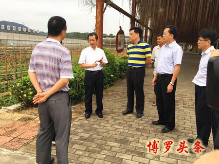黄树正、朱晓文安全生产检查