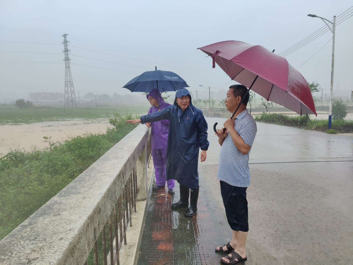 陈湘书记到各村河道查看水位并指导抢险救灾工作
