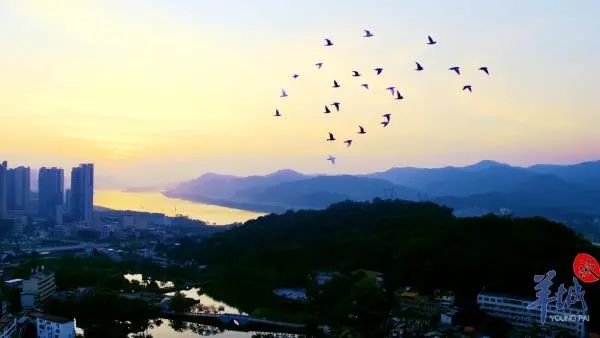 浮碇朝曦 林波 摄