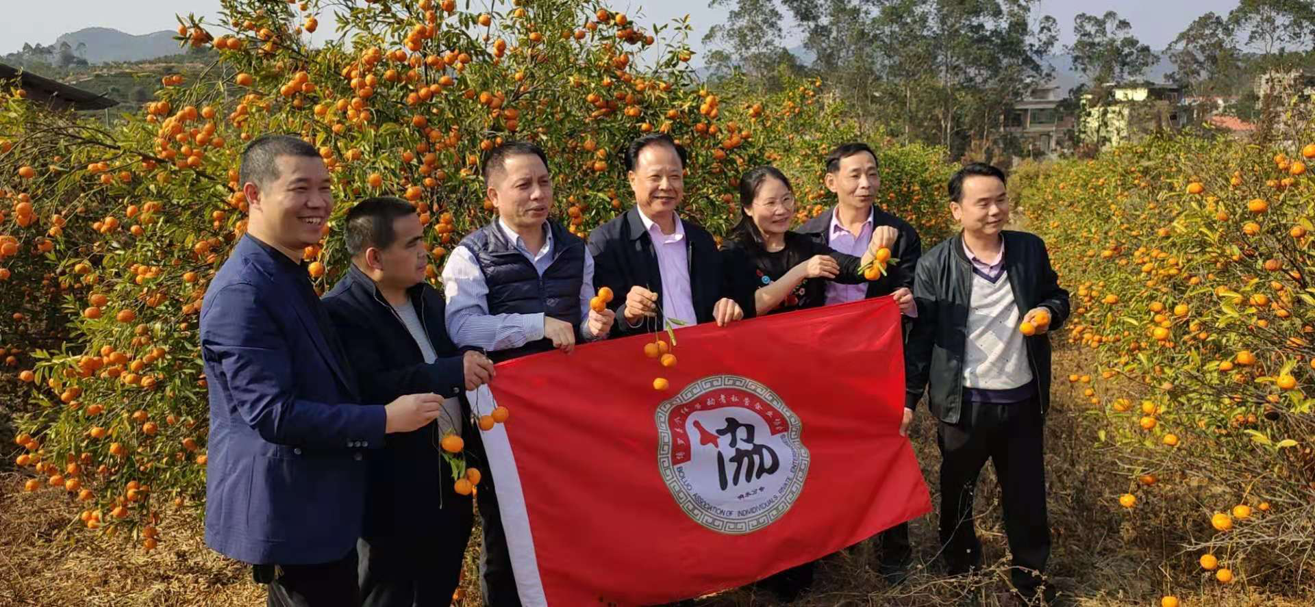 图片2.png