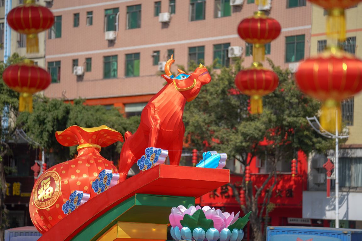 县城文化广场的牛年灯盏吸引市民驻足观赏