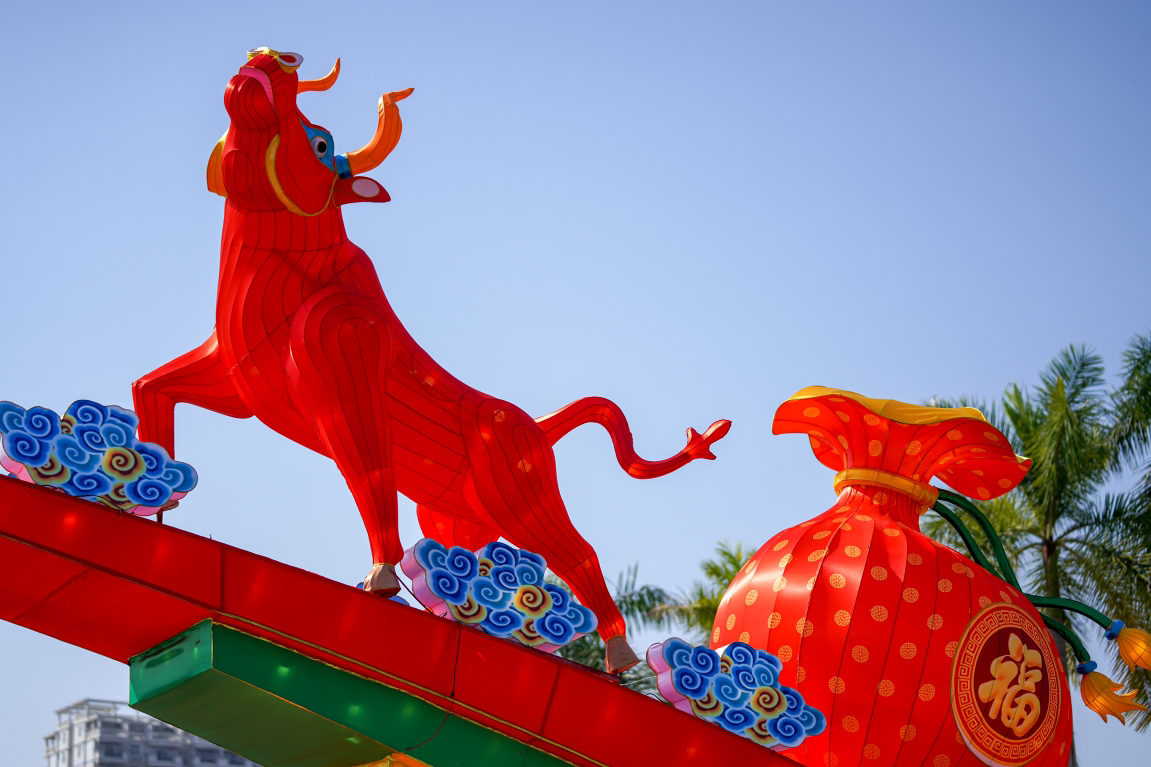 县城文化广场的牛年灯盏吸引市民驻足观赏