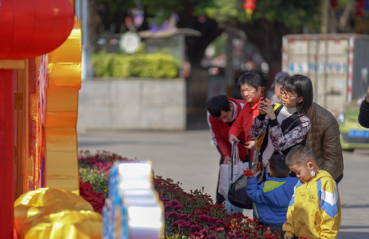 县城文化广场的牛年灯盏吸引市民驻足拍照