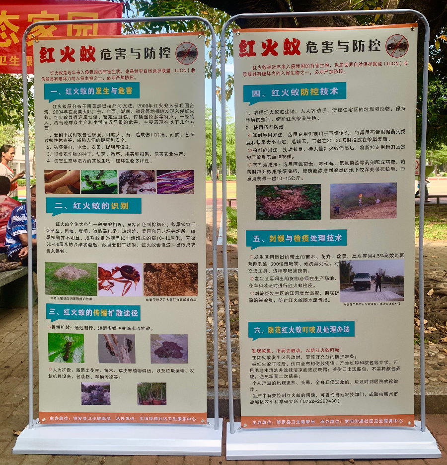 已编辑图片