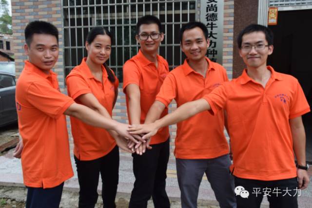 柏塘5名80后大学生回村创立平安尚德牛大力合作社