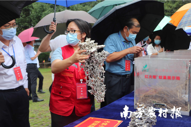 图4.png