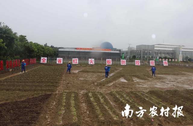 图5.png