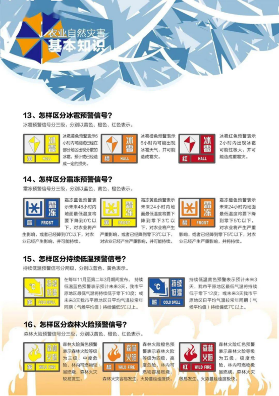 6.png