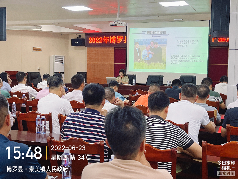 泰美政府2.jpg