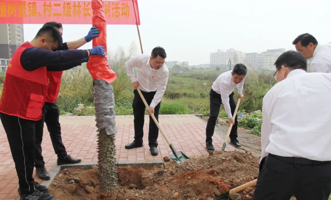 植树活动.jpg