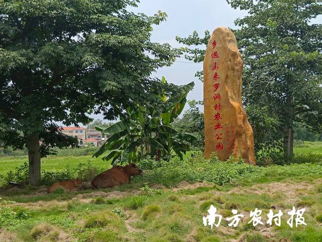 田园观光、农旅融合的农业公园