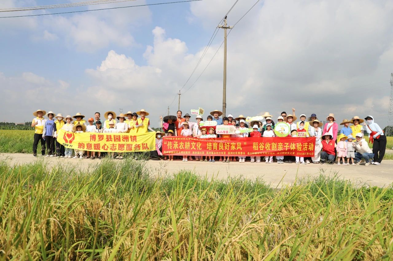 收稻谷2.jpg