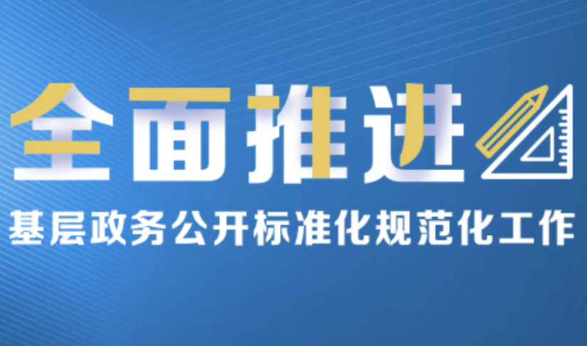 全面推进基层政务公开标准化规范化工作
