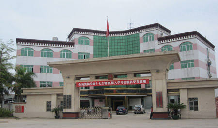麻陂镇