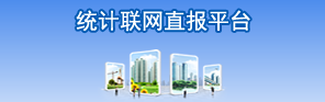 统计联网直报平台