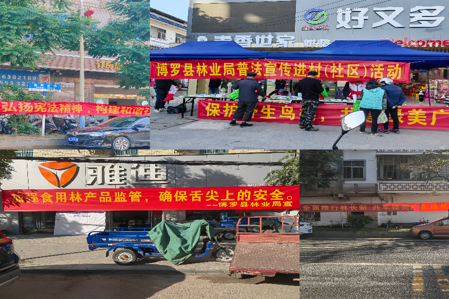 图片3.png