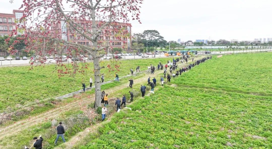 河道清淤.jpg