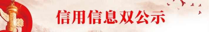 双公示链接