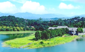 湖镇镇概况