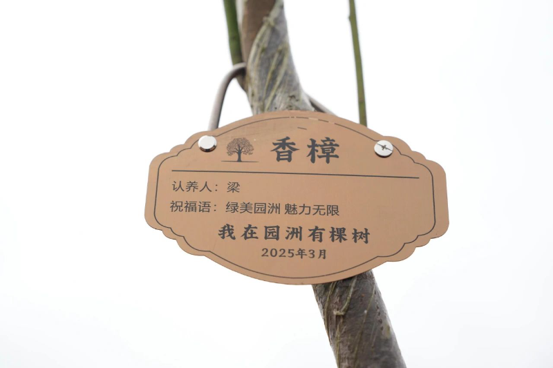 绿美1.jpg