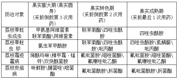 已编辑图片