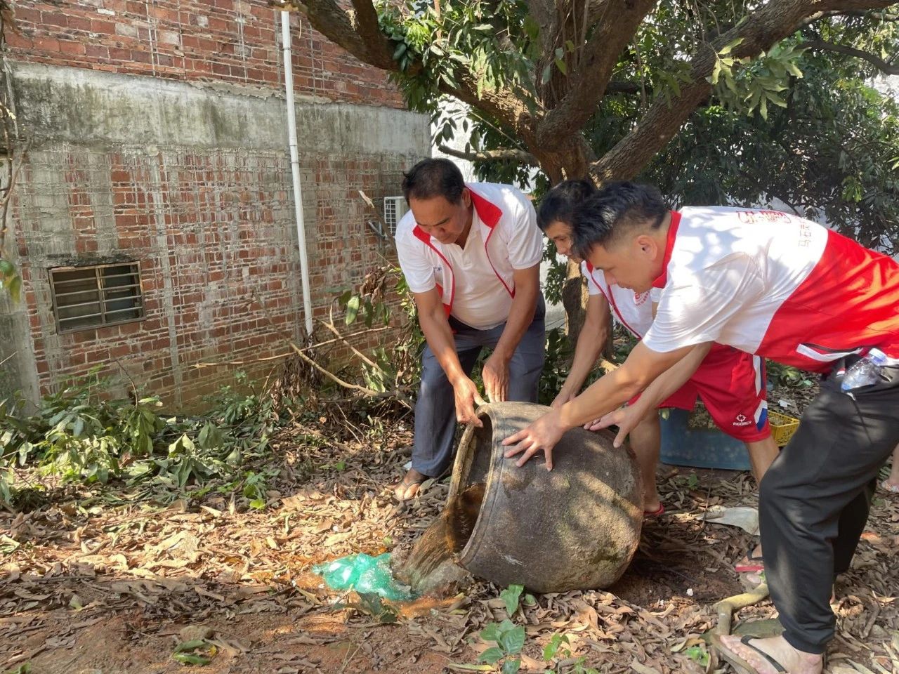 基孔肯雅热2.jpg