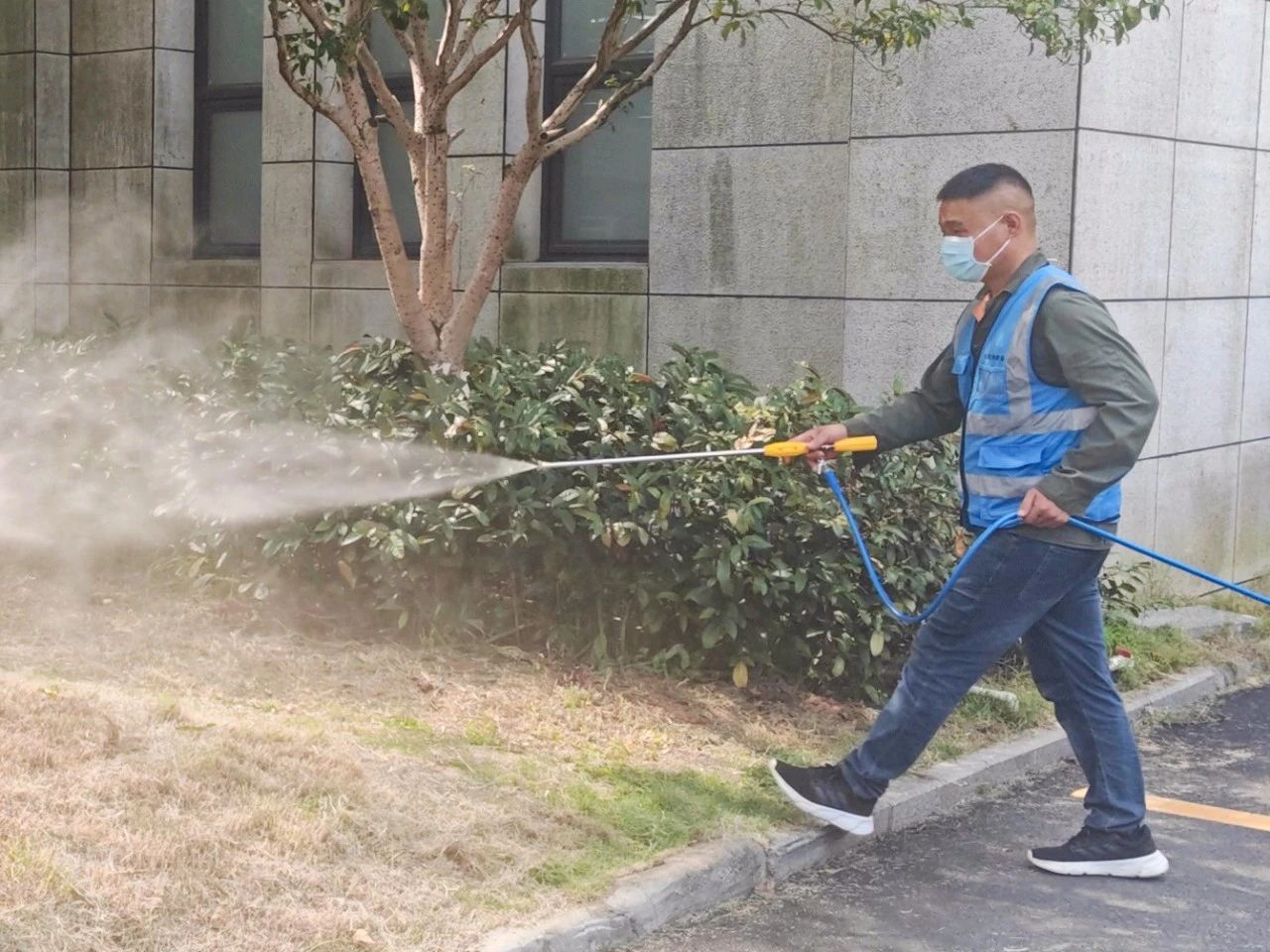 基孔肯雅热1.jpg
