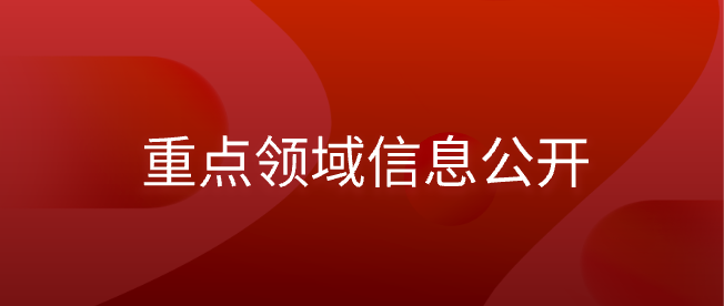 重点领域信息公开